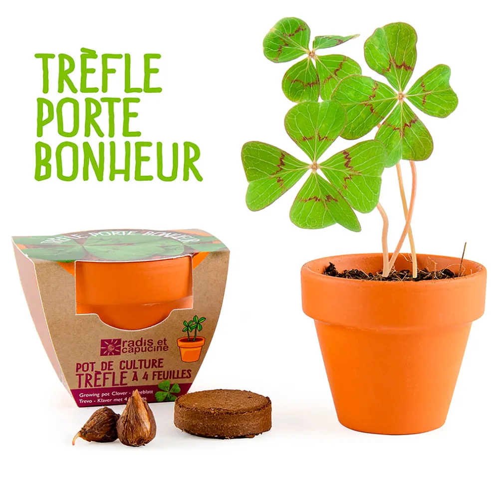 Mini kit d6cm terre cuite trèfle 4 feuilles