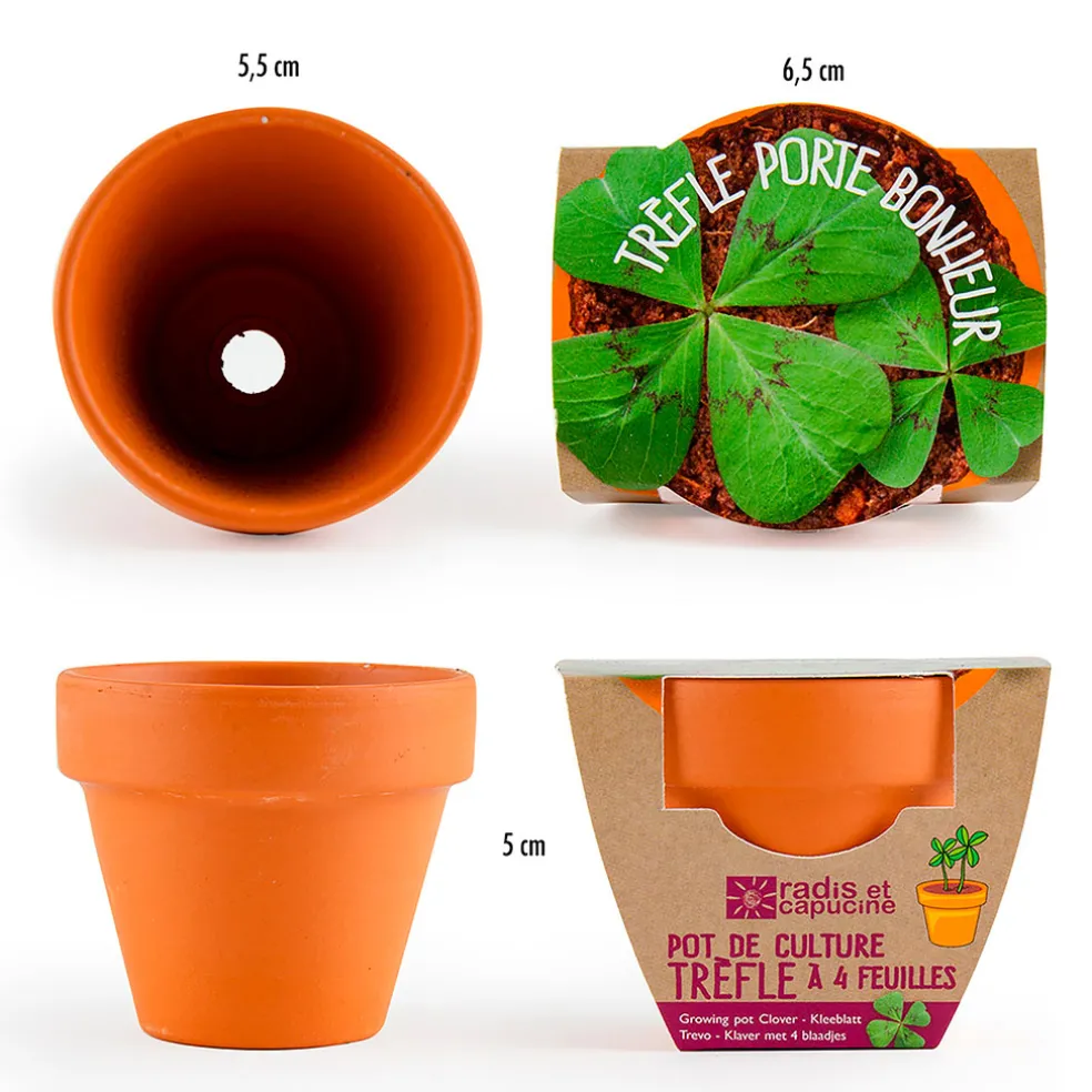 Mini kit d6cm terre cuite trèfle 4 feuilles