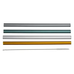 Paille avec brosse x4 dilacia h15.5cm en verre borosilicate