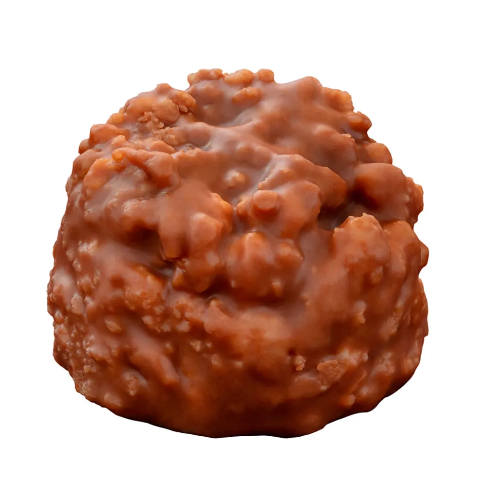 Petit croc' lait gianduja 120g