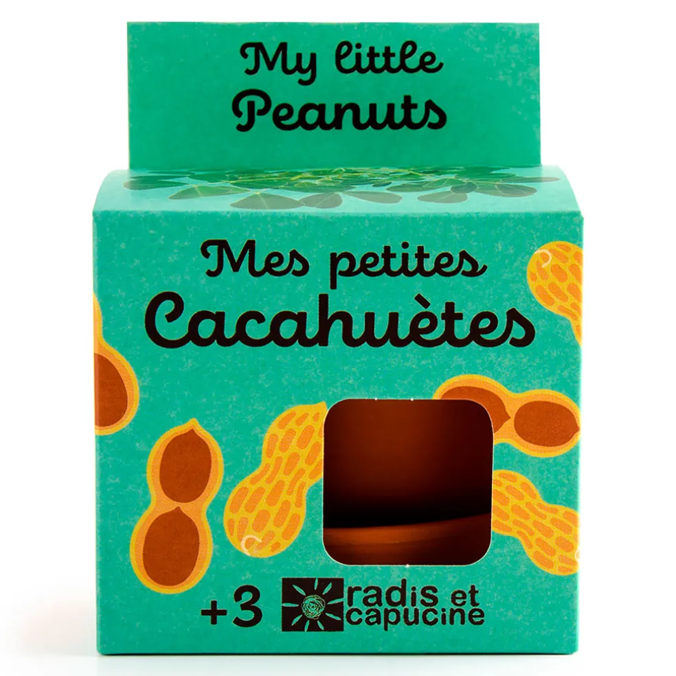 Pot d8cm avec coupelle cacahuète