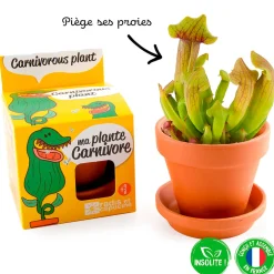 Pot d8cm avec coupelle plantes carnivores