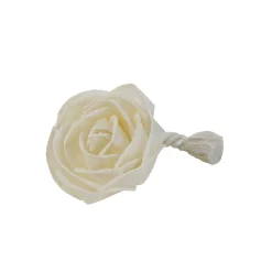 Rose parfumée sesbania