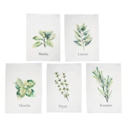 Set de 5 torchons aroma vert et lin en coton