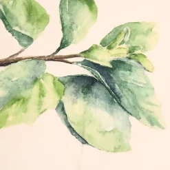 Set de 5 torchons aroma vert et lin en coton