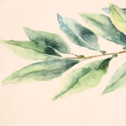 Set de 5 torchons aroma vert et lin en coton