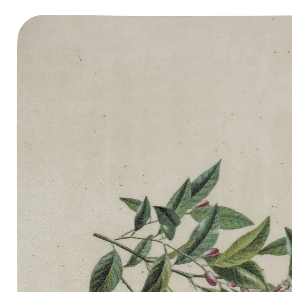 Set de table en vinyle multicolore 45x30cm - Citrons