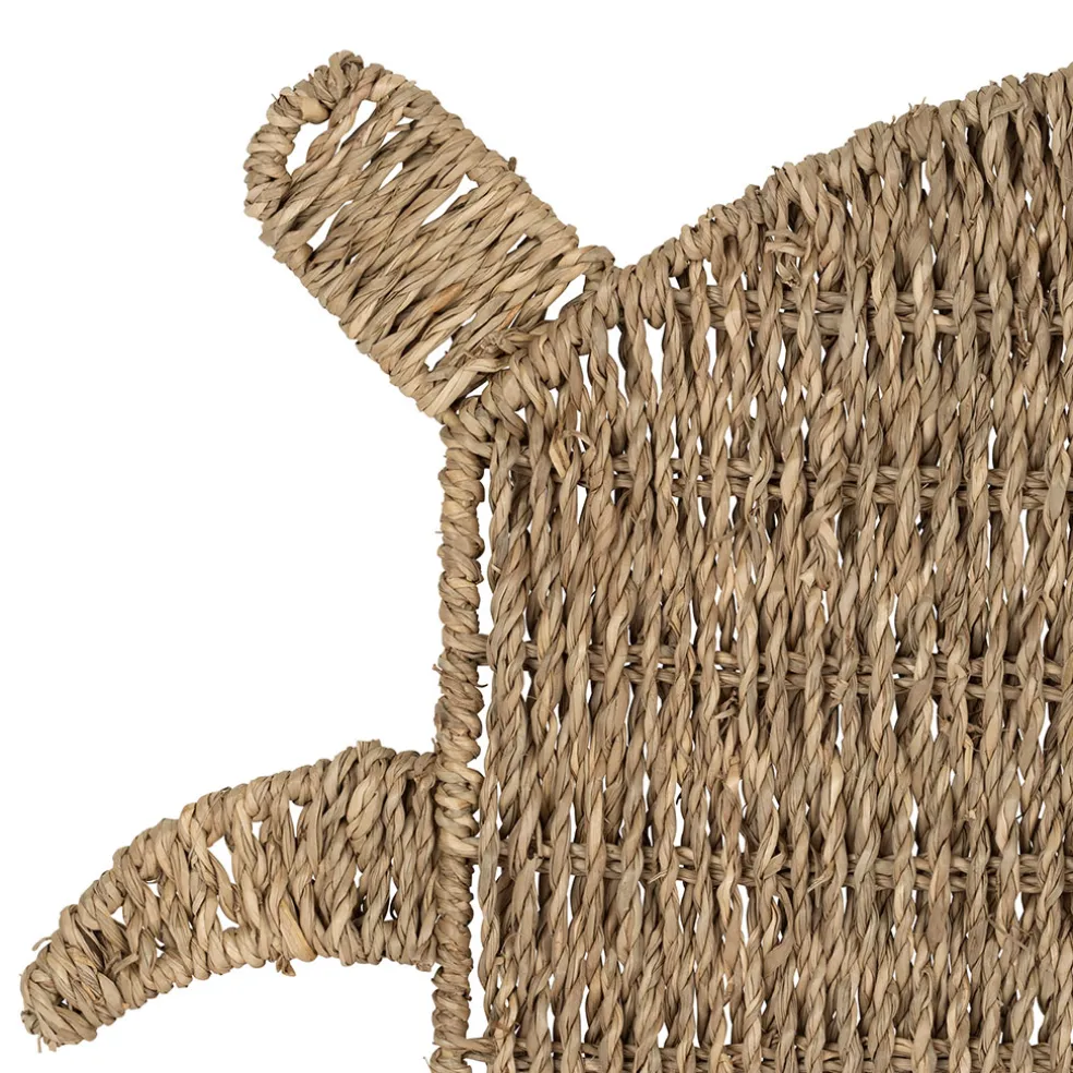 Set de table tortue sumatra