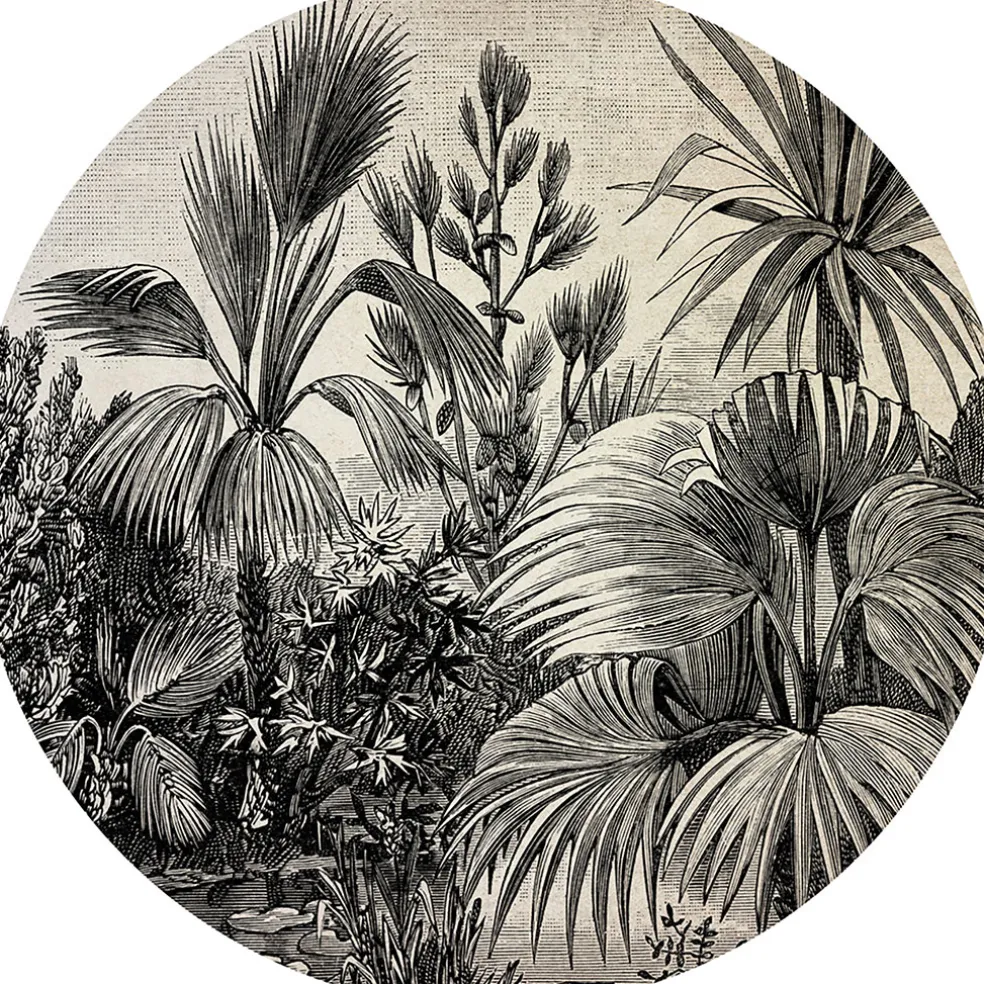 Set de table vinyle foret d35cm