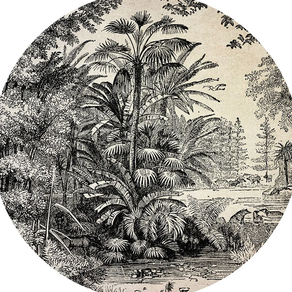 Set de table vinyle jungle d35cm