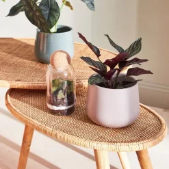 Table basse gigogne (lot de 2) en rotin naturel - Tamba