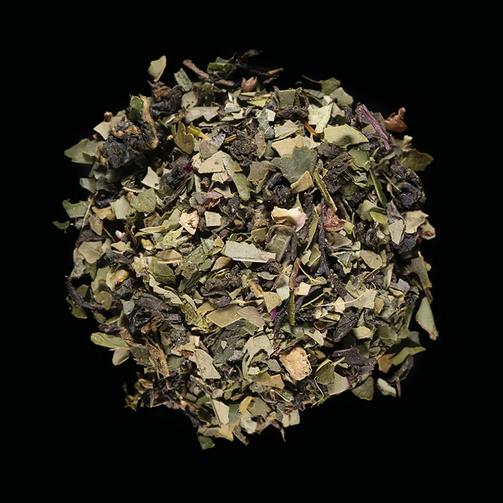 Thé bien-être Fresh detox bio 14 sachets infusettes