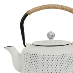 Theiere en fonte émaillé point blanc avec filtre