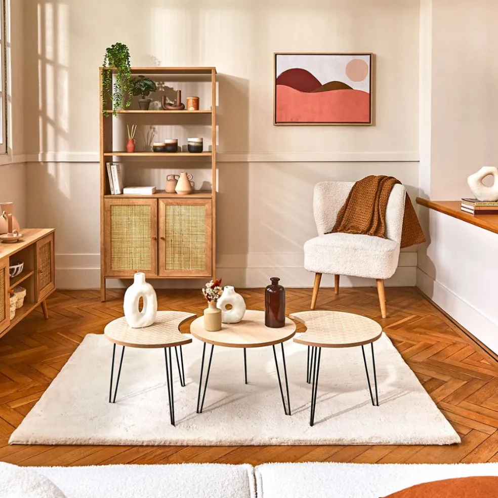 Toile encadree montagnes 50x70cm rose