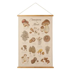 Toile "encyclopédie champignon" 77x110cm