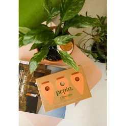 Trio mini diffuseur d'eau en argile : 2 terracotta et 1 blanc graine - Olla